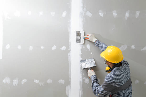 Best Black Mold Removal  in Leona Valley, CA