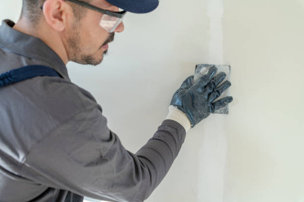 Best Emergency Mold Remediation  in Leona Valley, CA