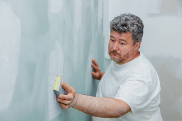Mold Odor Removal Services in Leona Valley, CA
